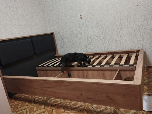 Двуспальная кровать Клауд 160х200 парящая дуб крафт золотой / антрацит фото покупателя 556