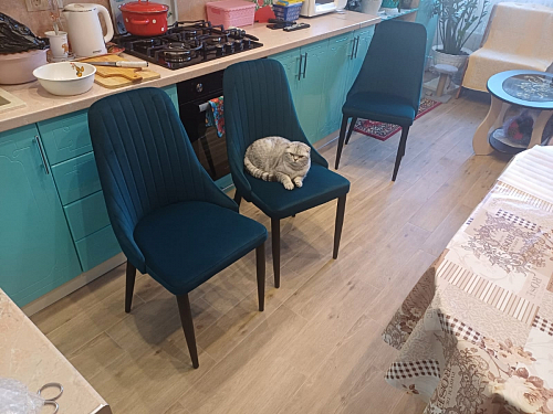 Стул на металлокаркасе Kora white / gray фото покупателя 385