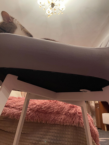 Комплект стульев Форт 4 шт кирпичный / чёрный фото покупателя 131