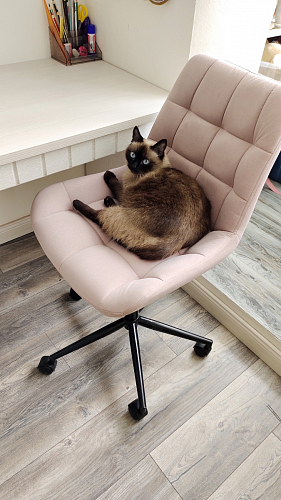 Компьютерное кресло Честер экокожа бежевая / белый фото покупателя 50