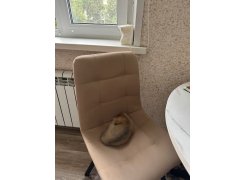 Стул на металлокаркасе Чилли горчичный / белый фото покупателя 184