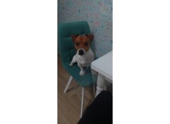 Стул на металлокаркасе Чилли синяя ткань / белый фото покупателя 56