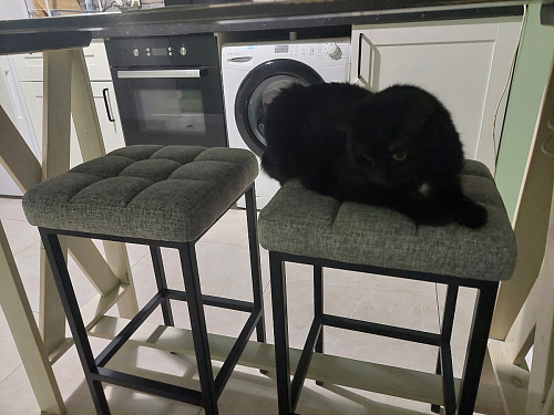 Барный стул Лофт ткань канди грей / черный матовый фото покупателя 230