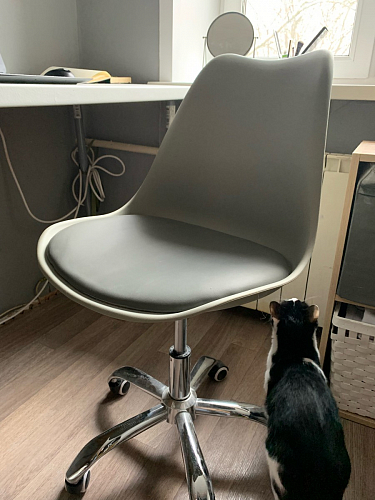 Компьютерное кресло Kolin gray / chrome фото покупателя 96