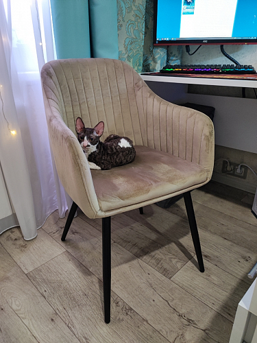 Стул на металлокаркасе Slam синий фото покупателя 9