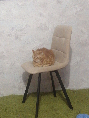 Стул на металлокаркасе Чилли К светло-серый велюр / черный каркас фото покупателя 600