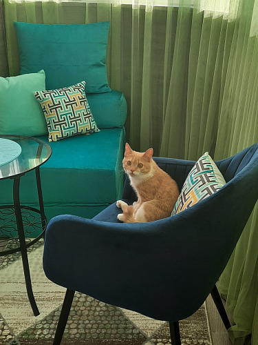 Стул на металлокаркасе Slam dark beige фото покупателя 6