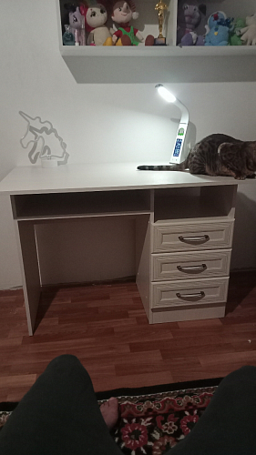 Стол письменный Колибри бодега фото покупателя 57