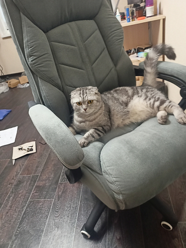 Компьютерное кресло Traun dark gray / black фото покупателя 25