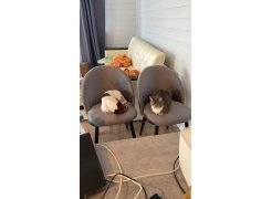 Стол Лота Лофт 120 25 мм сабия / черный матовый фото покупателя 242