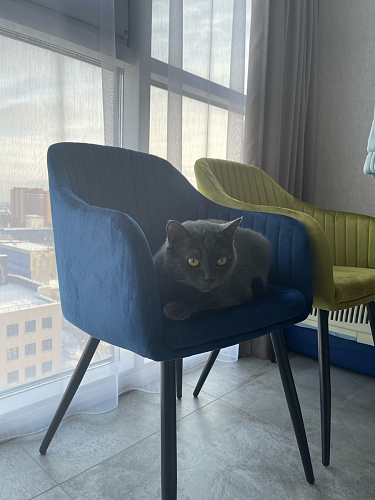 Стул на металлокаркасе Slam dark beige фото покупателя 42