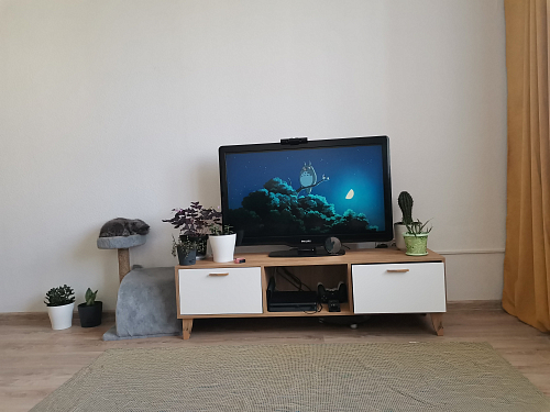 ТВ-тумба Эго Т-3 на ножках бетон светлый / белый глянец фото покупателя 66