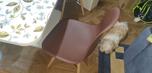 Стул Y-971 белый фото покупателя 200