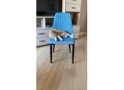 Стул на металлокаркасе Kora gray / black фото покупателя 114