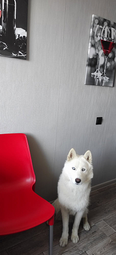 Стул на металлокаркасе Genius оранжевый / черный 1 шт фото покупателя 3