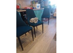 Стул на металлокаркасе Kora beige / black фото покупателя 398