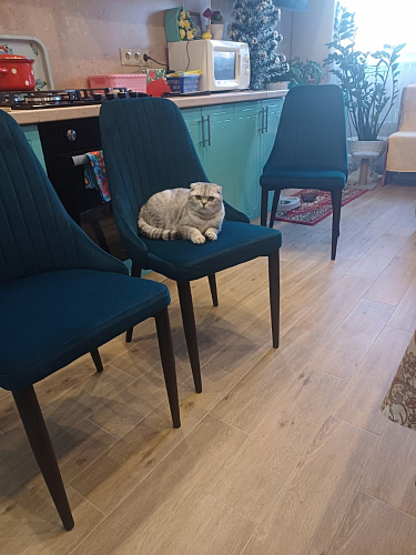 Стул на металлокаркасе Kora beige / black фото покупателя 398