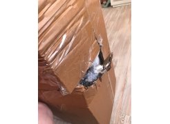 Компьютерное кресло Kolson сream фото покупателя 9