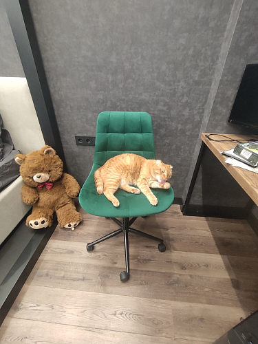 Компьютерное кресло Честер темно-серый велюр velutto 32 / белый фото покупателя 58