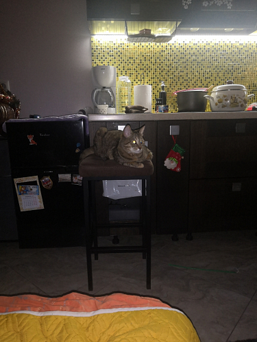 Барный стул Лофт микровелюр катания блэк / черный матовый фото покупателя 69