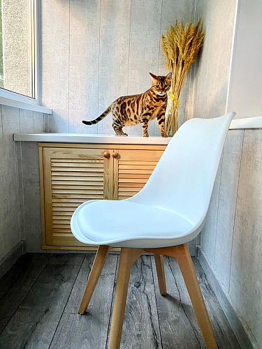 Деревянный стул Bonuss dark gray / black фото покупателя 1