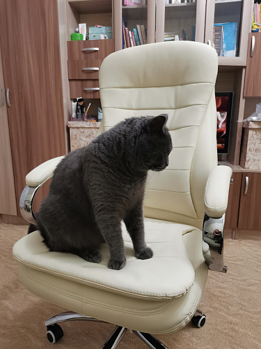 Компьютерное кресло Tomar черное фото покупателя 60