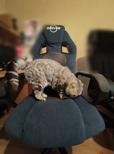 Компьютерное кресло Driver/Драйвер кожзам черный / ткань синий фото покупателя 108