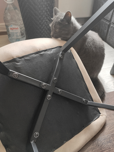 Стул Bruk purple фото покупателя 64