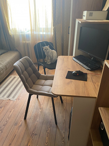 Стул на металлокаркасе Челси бирюзовый / черный фото покупателя 173