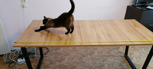 Стол раскладной Лота Лофт 120 25 мм юта / черный матовый фото покупателя 324