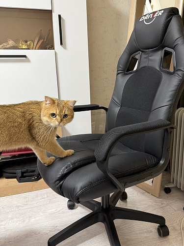 Компьютерное кресло Driver/Драйвер кожзам черный / ткань синий фото покупателя 144