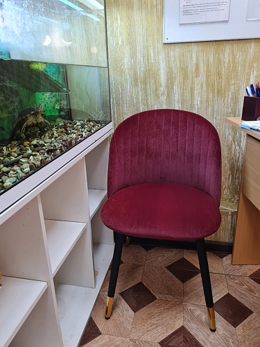 Стул на металлокаркасе Gabi 1 line light blue / black фото покупателя 282