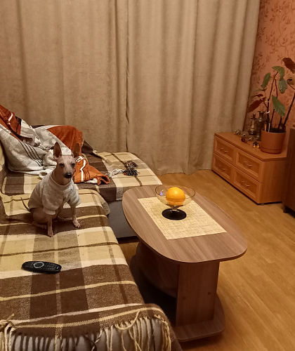 Журнальный стол Лидер дуб млечный фото покупателя 30