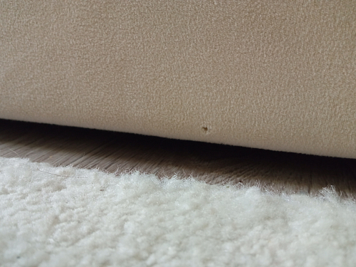 Софа Elda 90х200 бежевый велюр фото покупателя 1