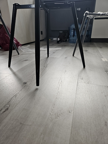 Комплект стульев Седа К 4 шт латте / черный фото покупателя 124