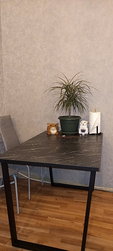 Стол Лота Лофт 120 32 мм бетон / черный матовый фото покупателя 2