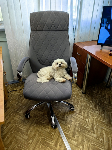 Компьютерное кресло Monte серое фото покупателя 1