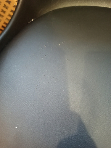 Стул Bonuss велюр coral фото покупателя 9