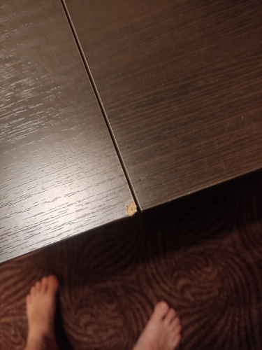 Стол-книжка Мечта дуб сонома  - Уцененный экземпляр фото покупателя 166