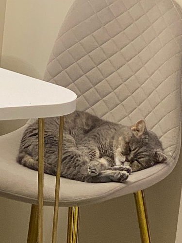 Стул на металлокаркасе Dabl wine red фото покупателя 155