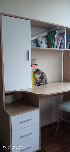 Письменный стол КСТ-16 левый венге / беленый дуб фото покупателя 138