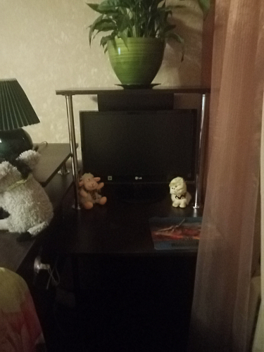 Компьютерный стол КСТ-12 венге фото покупателя 66