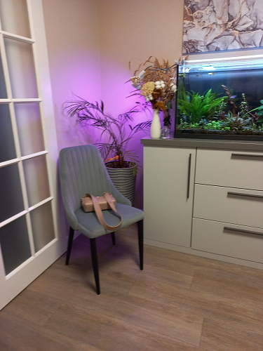 Стул на металлокаркасе Kora white фото покупателя 287