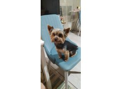 Стул на металлокаркасе Kora green / black фото покупателя 95