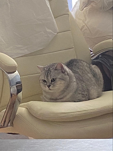 Компьютерное кресло Tomar черное фото покупателя 42