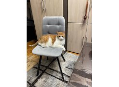 Стул на металлокаркасе Чилли горчичный / белый фото покупателя 67