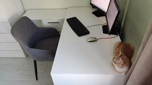 Письменный стол Лайт 03.245F белый гладкий 101 фото покупателя 7