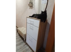 Обувница ТП-2 дуб делано фото покупателя 4