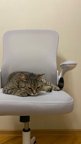 Компьютерное кресло Konfi pink / white фото покупателя 232