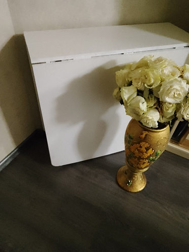 Стол-книжка СтК7 дуб сонома фото покупателя 87